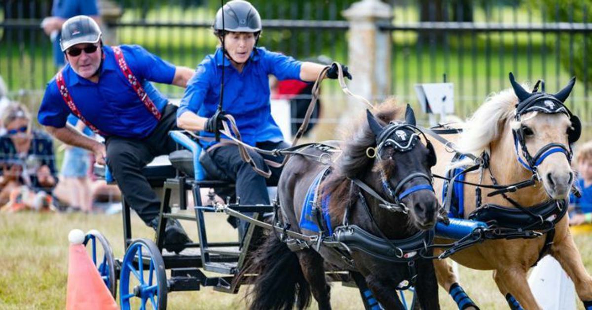 East Anglian Game & Country Fair 2025 Bury St Edmunds & Beyond
