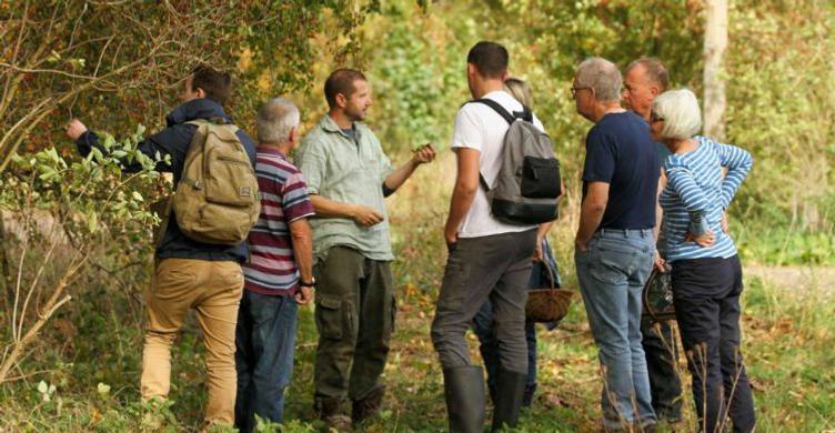 Forage Kitchen foraging 750x390