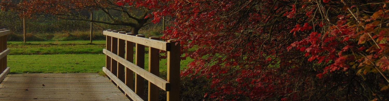 Autumn Wildlife Checklist