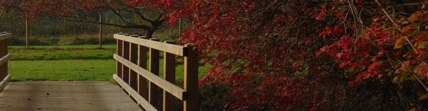 Fullers Mill Garden autumn hero 1500x390