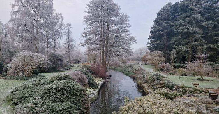 Fullers Mill Garden winter Richard Bloom 750x390