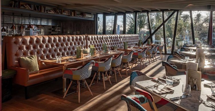 Interior Weeping Willow Weeping Willow 750x390 2