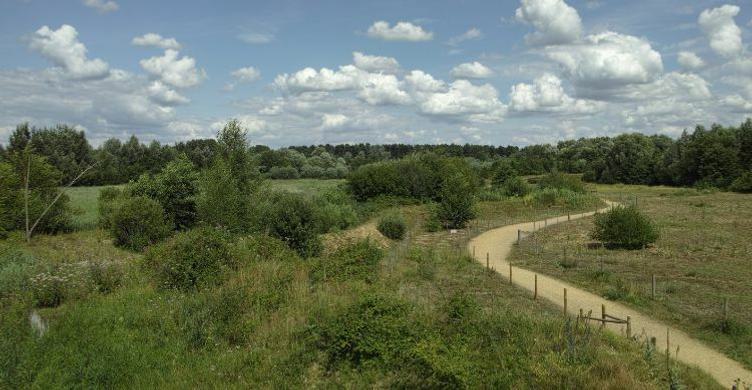 Lackford Lakes Nature Reserve Steve Aylward 750x390 2