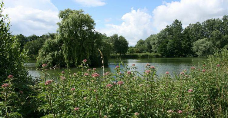 Lackford Lakes Nature Reserve Steve Aylward 750x390 3