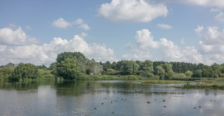 Lackford Lakes Nature Reserve Steve Aylward 750x390 4