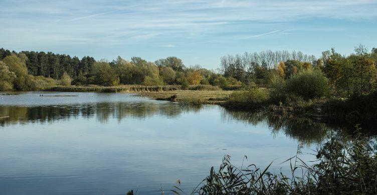 Lackford Lakes Nature Reserve Steve Aylward 750x390