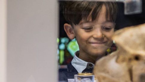 Little boy looking at wolf skull 1500x390