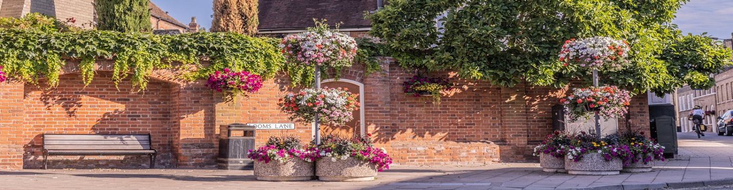 Looms Lane floral display Jo Sweetman 1500x390