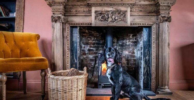 Muddy Paws Stay Offer 750x390