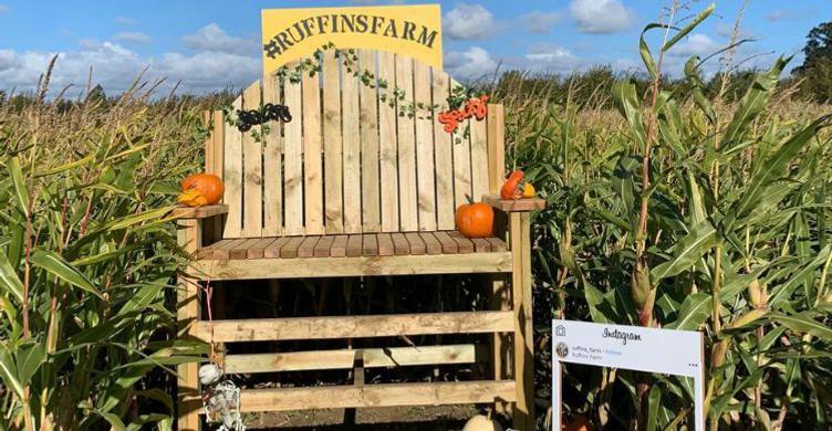 PYO Pumpkins Seat Ruffins Farm 750x390