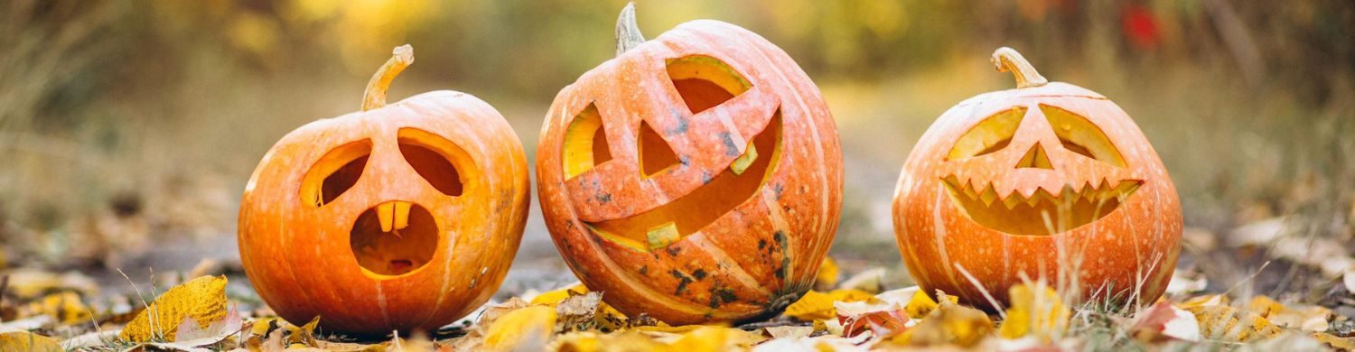 Bury St Edmunds Pumpkin Carving Competition