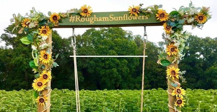 Rougham Estate Blackthorpe Barn Sunflowers 750x390