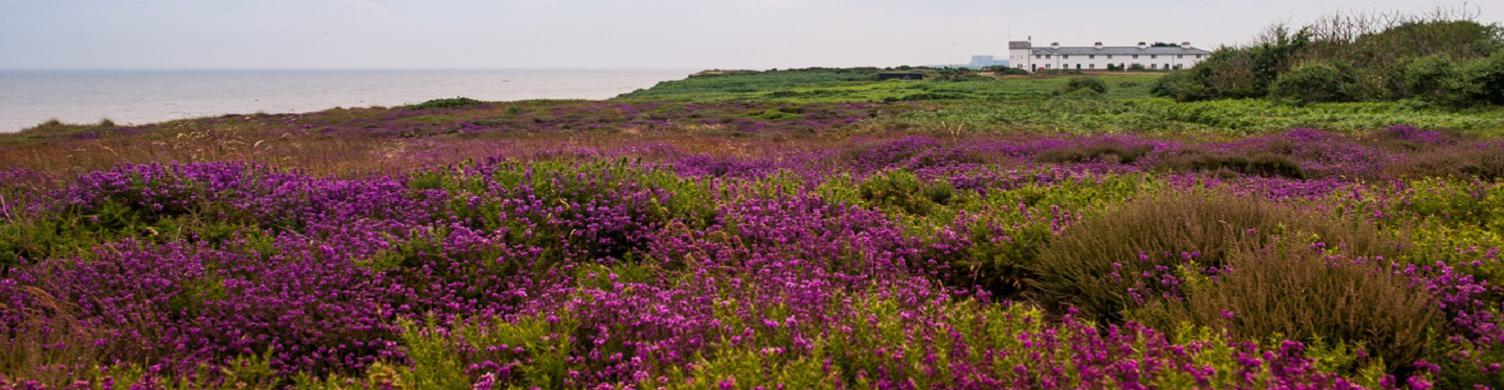 Suffolk Coast Landing page hero 1500x390