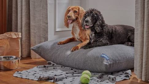 The Ickworth Dog Friendly Breaks 750x390