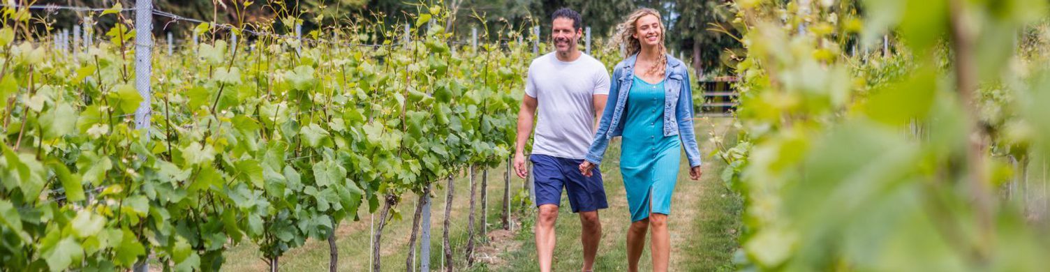 Vinyards 1500x390