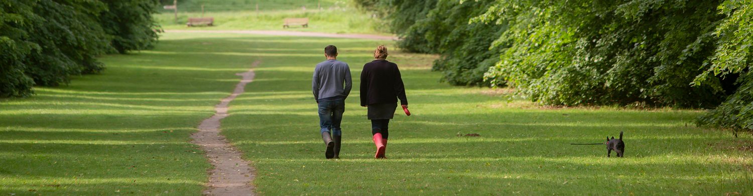 5 Things to Spot at Nowton Park