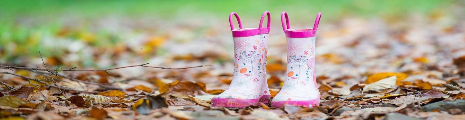 Welly Walks in Bury St Edmunds & Beyond