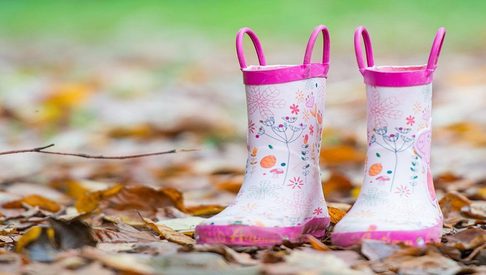 Wellies Pixaby 1500x390