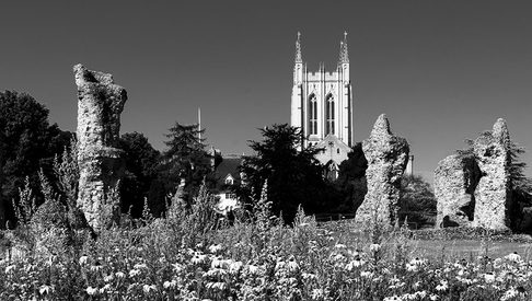 Wildflower Labyrinth Abbey Gardens black and white Rebecca Austin 1500x390
