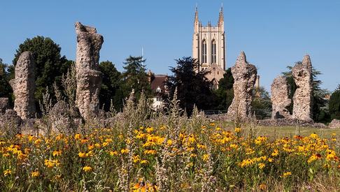 Wildflower Labyrinth ruins Abbey Gardens Rebecca Austin 1500x390