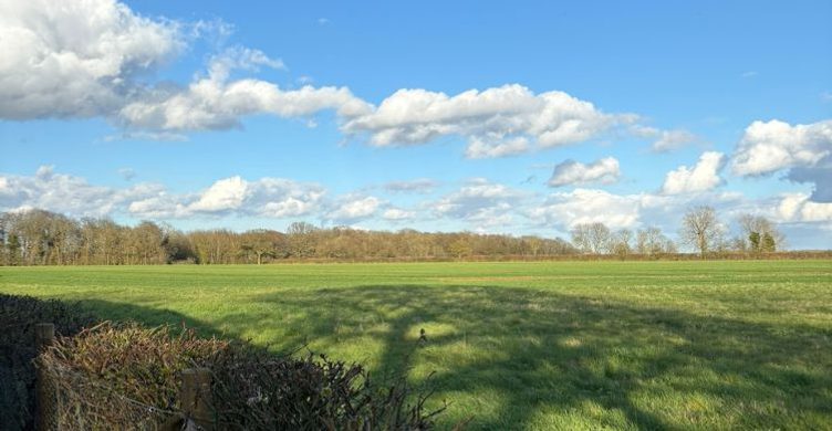 Willow Barn Fields 750x390