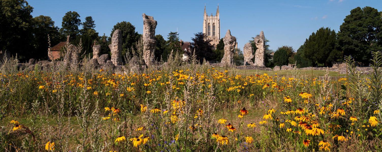 Abbey Gardens wildflowers ruins 1500x600