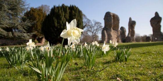 Spring walks 560x280