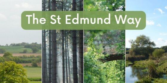 St Edmund Way 560x280