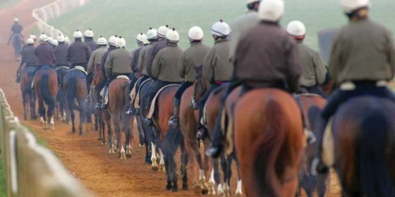 Discover Newmarket Tours 560x280