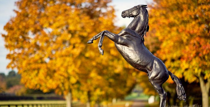 Discover Newmarket Tours WEB