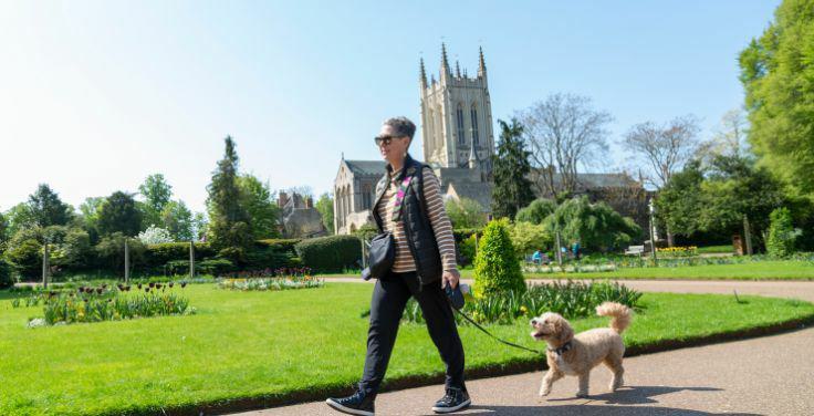 Dog Friendly Bury 736x376